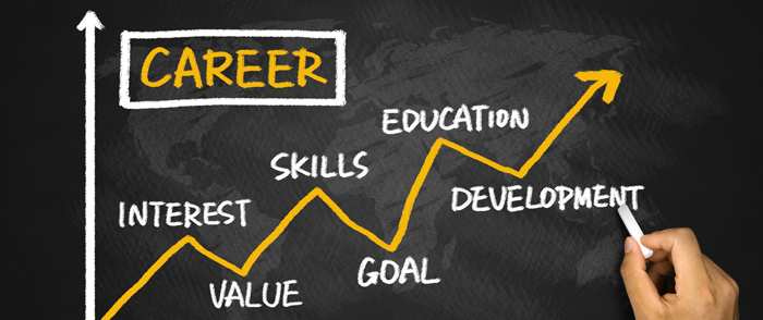 career development chart
