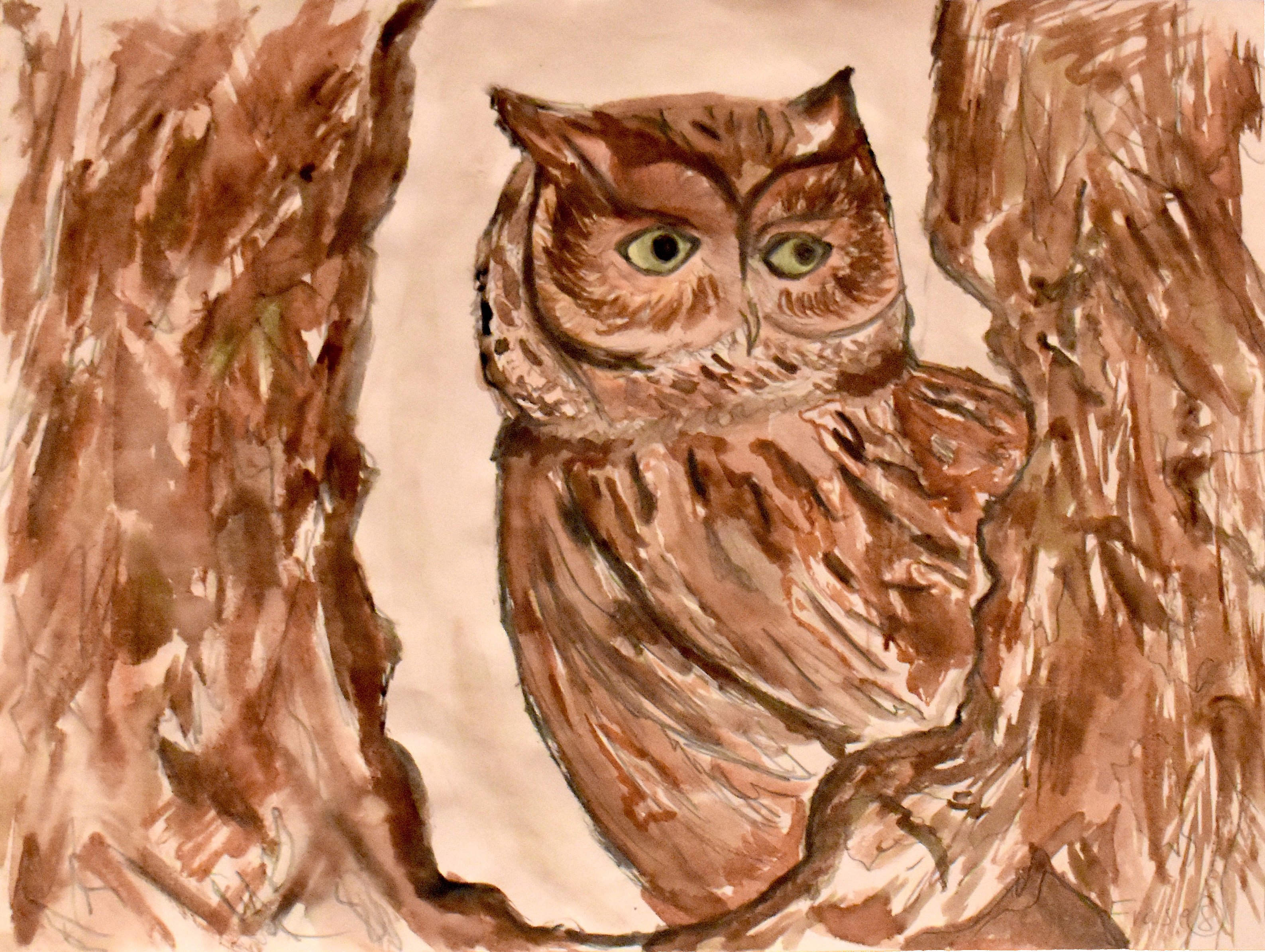 An owl looking through a hole in a tree and off into the distance, in brown watercolor. Medium: Watercolor Painting