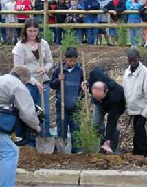 Students planting trees.