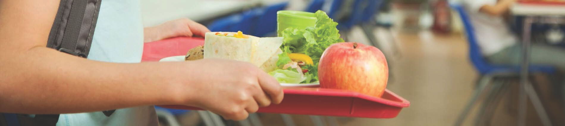 School lunch on tray
